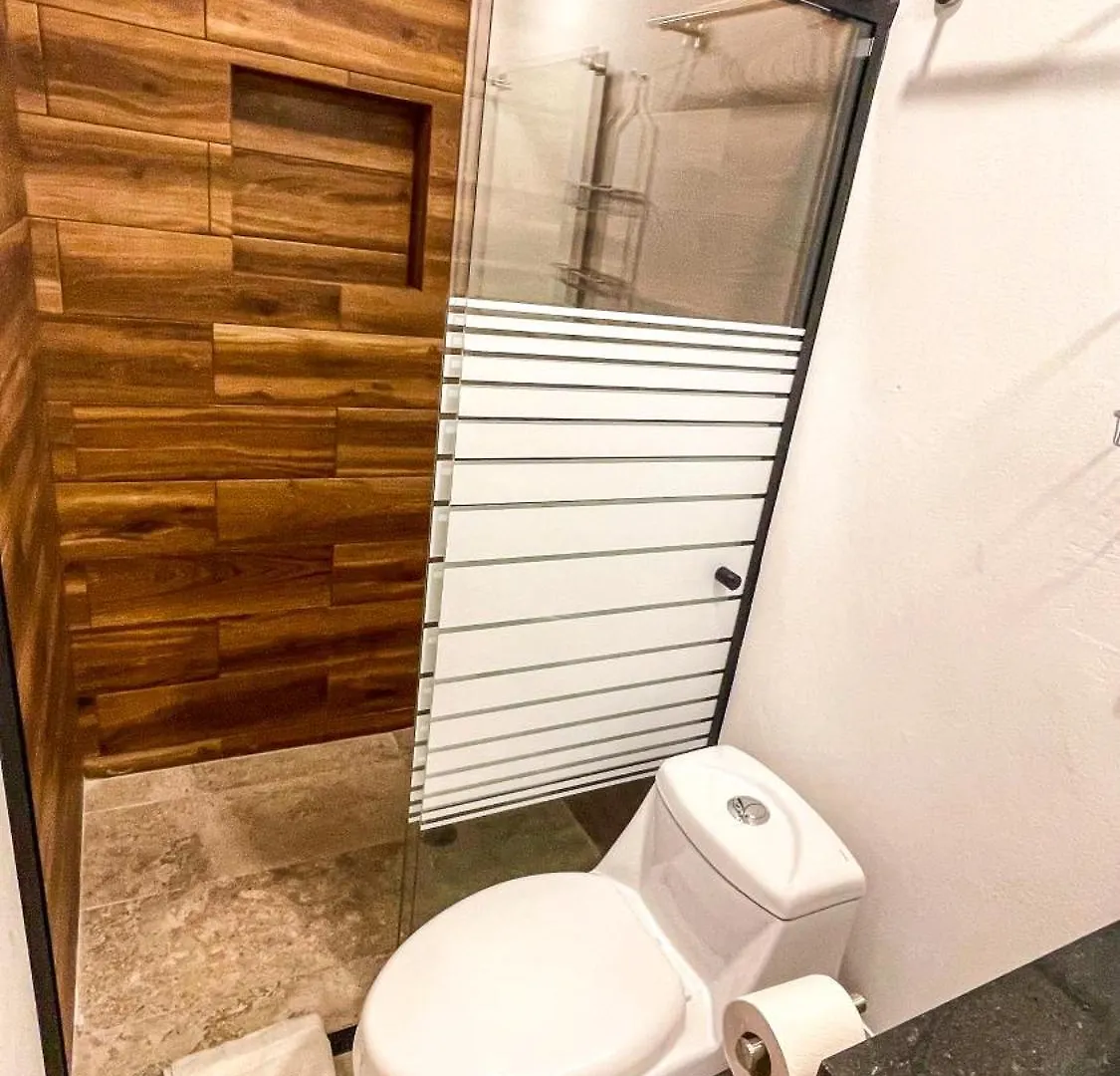 Green Savage Studio 1Br Rooftop Playa del Carmen Apartment